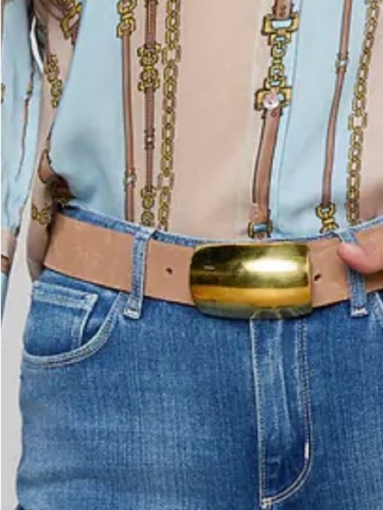 L'AGENCE Accessories - NWT LAGENCE suede Belt with Gold Buckle - Nude